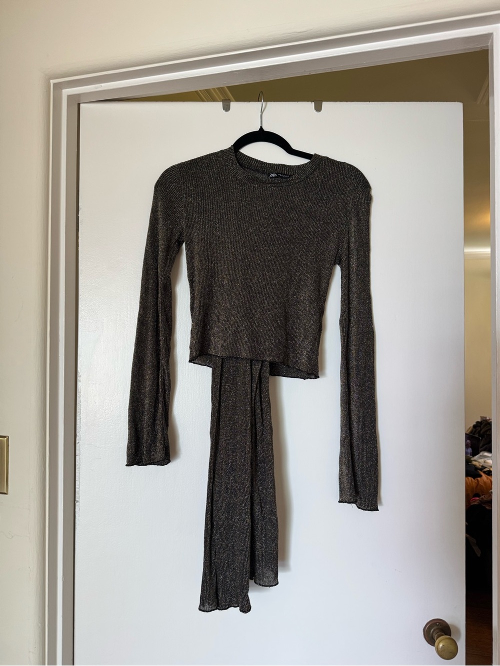 Shimmery Long Sleeve Metallic Crop Top and pants Zara